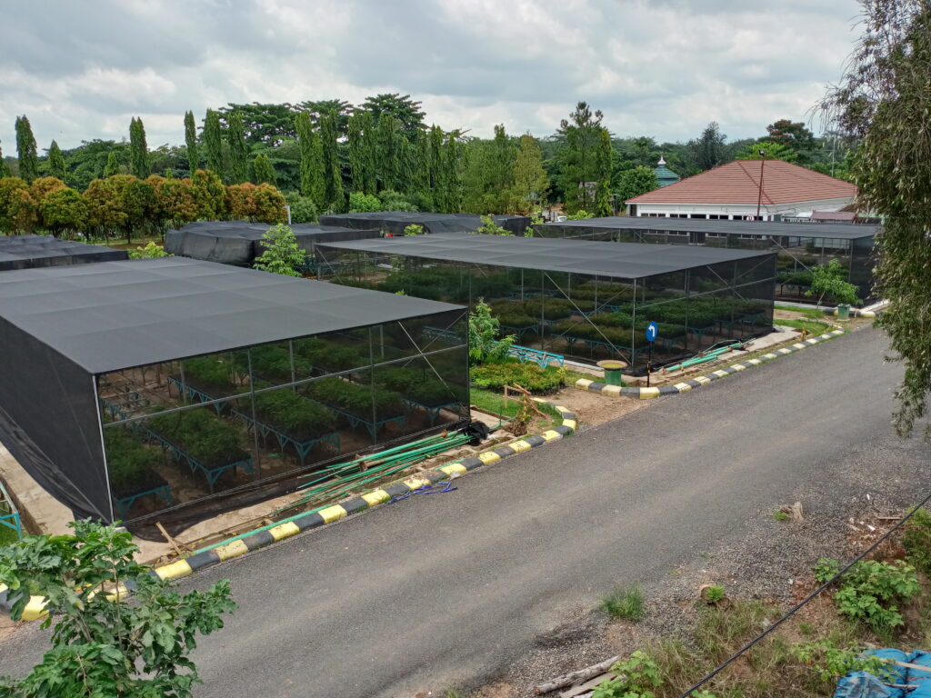 Project Ardefsi - Perusahaan Yang Bergerak di Bidang Silvikultur, Kehutanan dan Agro Teknologi