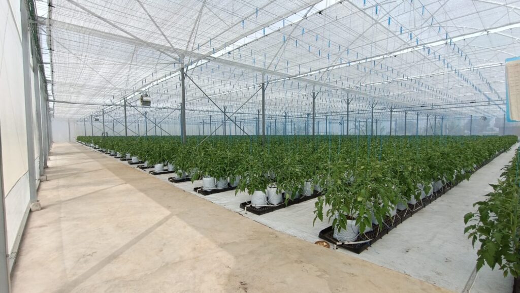 PROJECT PT ARDEFSI PUCUK BERKAH General Contractor Dan Maintenance, Supplier, Nursery, Produksi Pembibitan, Kehutanan