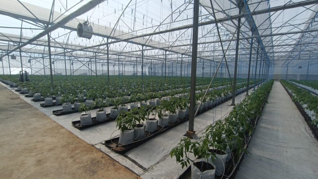 PROJECT PT ARDEFSI PUCUK BERKAH General Contractor Dan Maintenance, Supplier, Nursery, Produksi Pembibitan, Kehutanan