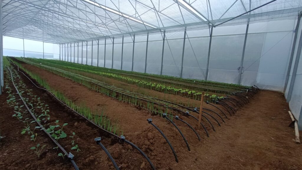PROJECT PT ARDEFSI PUCUK BERKAH General Contractor Dan Maintenance, Supplier, Nursery, Produksi Pembibitan, Kehutanan