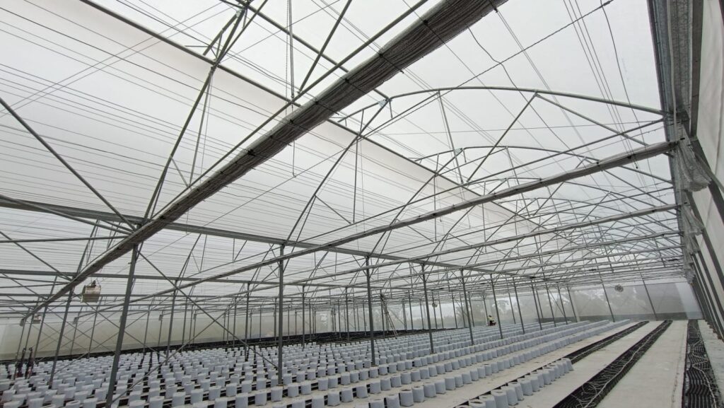PROJECT PT ARDEFSI PUCUK BERKAH General Contractor Dan Maintenance, Supplier, Nursery, Produksi Pembibitan, Kehutanan
