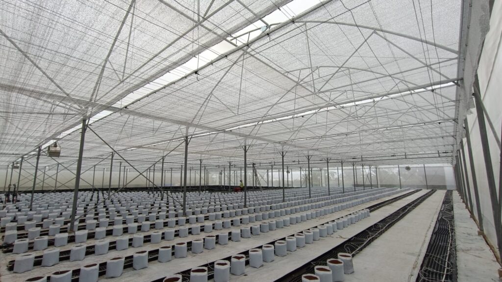 PROJECT PT ARDEFSI PUCUK BERKAH General Contractor Dan Maintenance, Supplier, Nursery, Produksi Pembibitan, Kehutanan