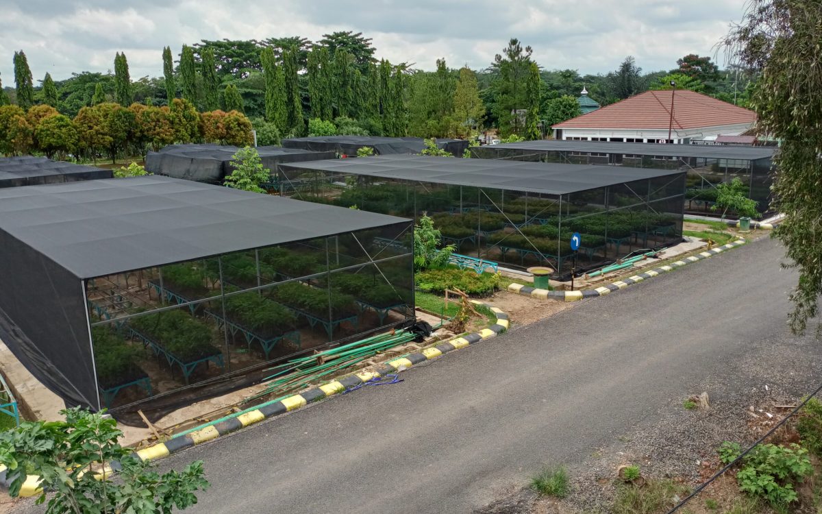 Green House Berbasis Hidroponik PT Ardefsi Pucuk Berkah